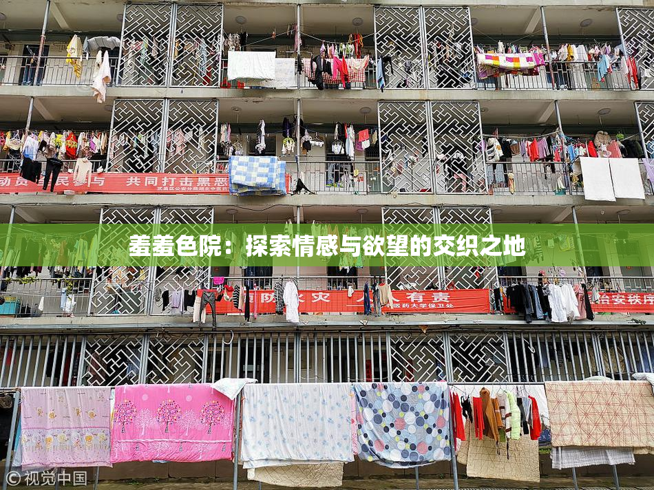 羞羞色院：探索情感与欲望的交织之地