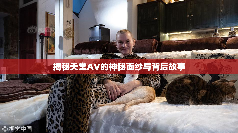 揭秘天堂AV的神秘面纱与背后故事