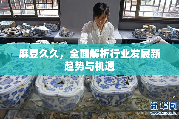 麻豆久久，全面解析行业发展新趋势与机遇