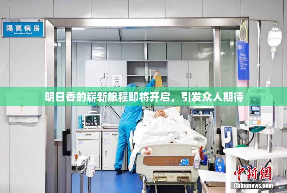 明日香的崭新旅程即将开启，引发众人期待