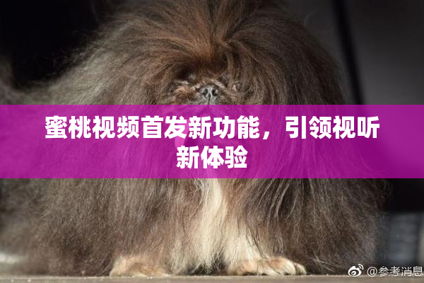 蜜桃视频首发新功能，引领视听新体验