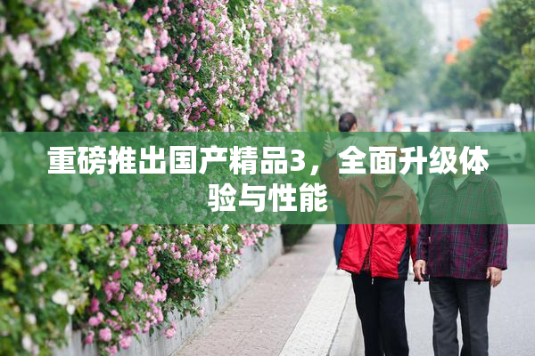重磅推出国产精品3，全面升级体验与性能