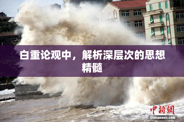 白重论观中，解析深层次的思想精髓