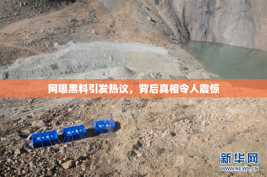 网曝黑料引发热议，背后真相令人震惊