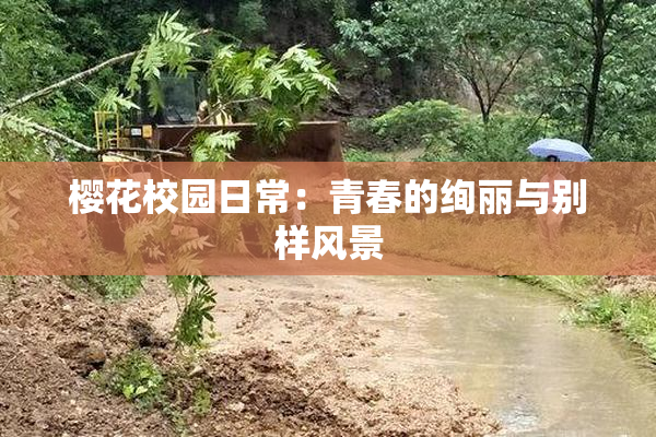樱花校园日常：青春的绚丽与别样风景