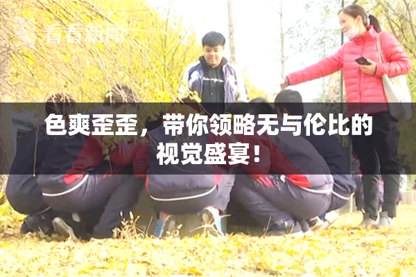 色爽歪歪，带你领略无与伦比的视觉盛宴！