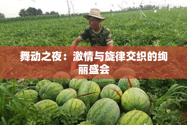 舞动之夜：激情与旋律交织的绚丽盛会
