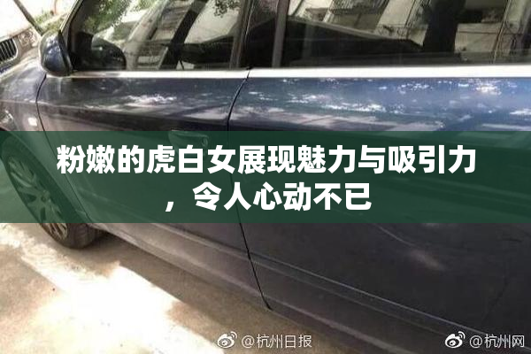 粉嫩的虎白女展现魅力与吸引力，令人心动不已