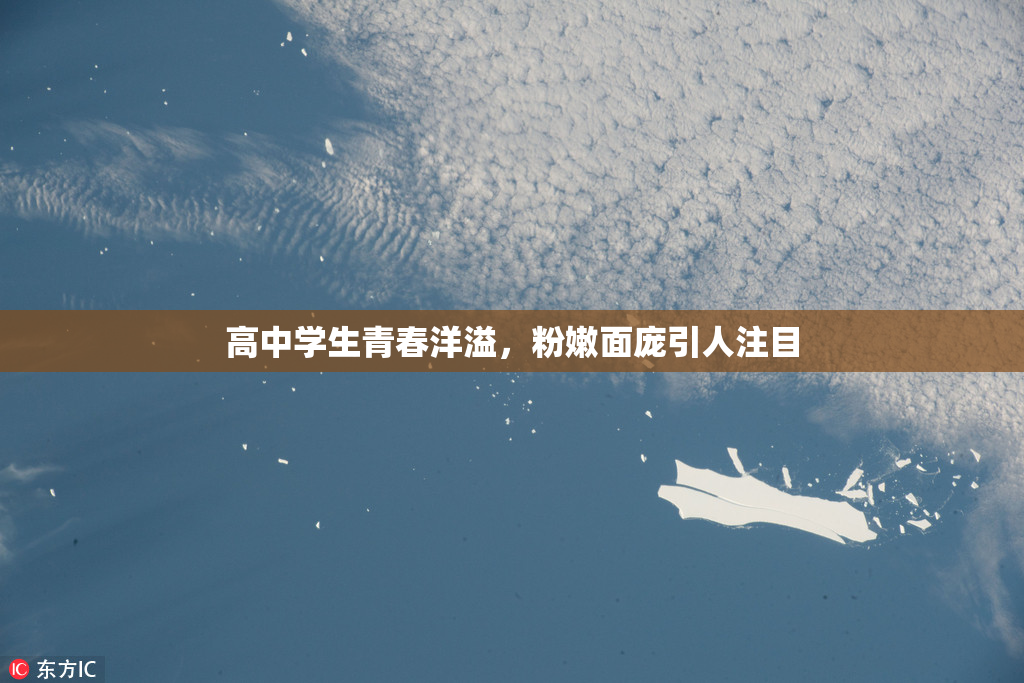 高中学生青春洋溢，粉嫩面庞引人注目