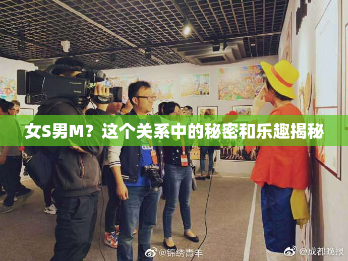 女S男M？这个关系中的秘密和乐趣揭秘
