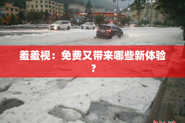 羞羞视：免费又带来哪些新体验？