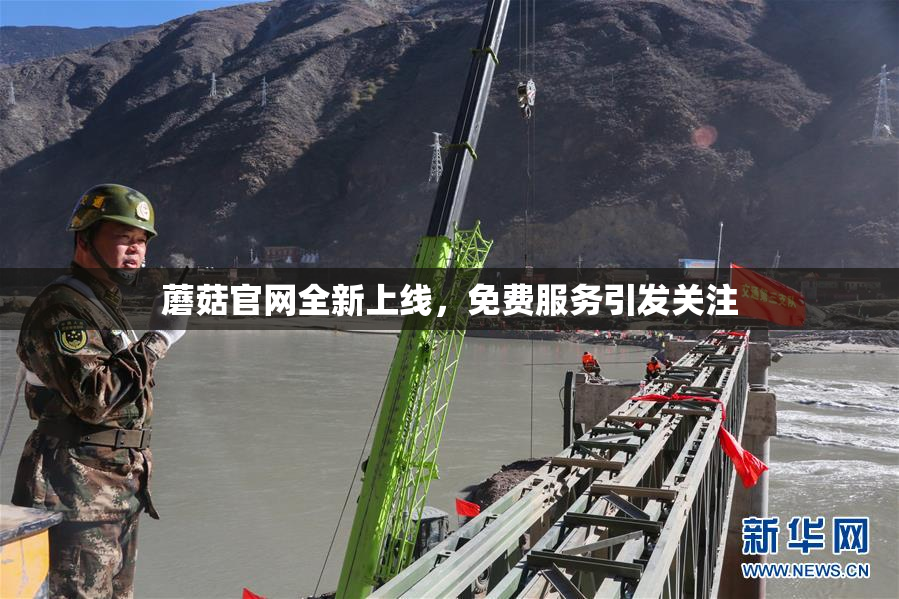 蘑菇官网全新上线，免费服务引发关注