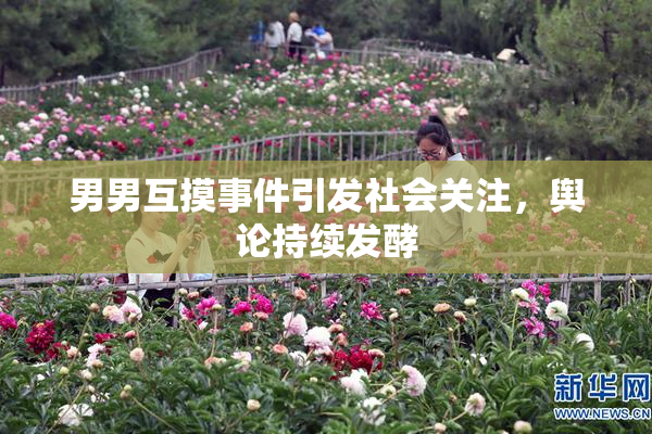 男男互摸事件引发社会关注，舆论持续发酵