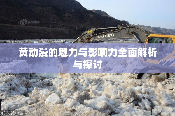 黄动漫的魅力与影响力全面解析与探讨