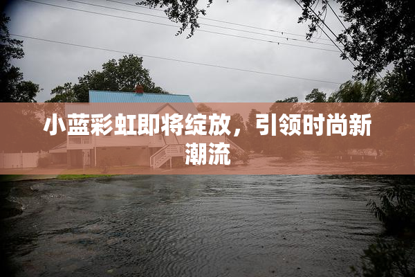 小蓝彩虹即将绽放，引领时尚新潮流