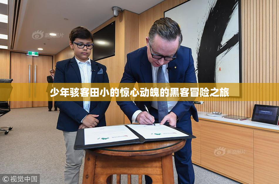 少年骇客田小的惊心动魄的黑客冒险之旅