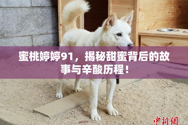 蜜桃婷婷91，揭秘甜蜜背后的故事与辛酸历程！