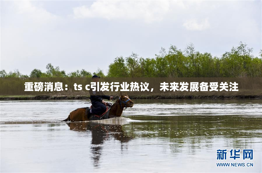 重磅消息：ts c引发行业热议，未来发展备受关注