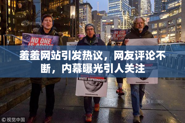 羞羞网站引发热议，网友评论不断，内幕曝光引人关注