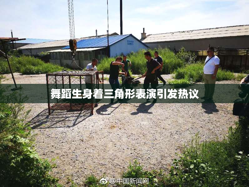舞蹈生身着三角形表演引发热议