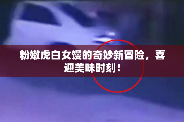 粉嫩虎白女馒的奇妙新冒险，喜迎美味时刻！