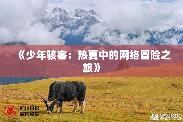 《少年骇客：热夏中的网络冒险之旅》