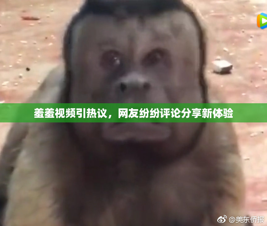 羞羞视频引热议，网友纷纷评论分享新体验