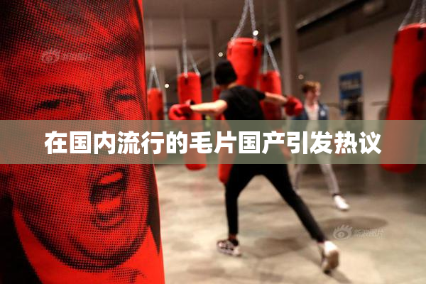 在国内流行的毛片国产引发热议