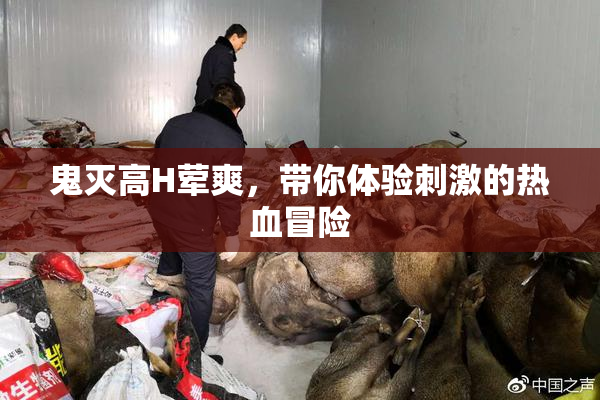 鬼灭高H荤爽，带你体验刺激的热血冒险