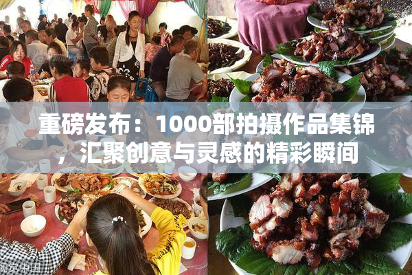 重磅发布：1000部拍摄作品集锦，汇聚创意与灵感的精彩瞬间