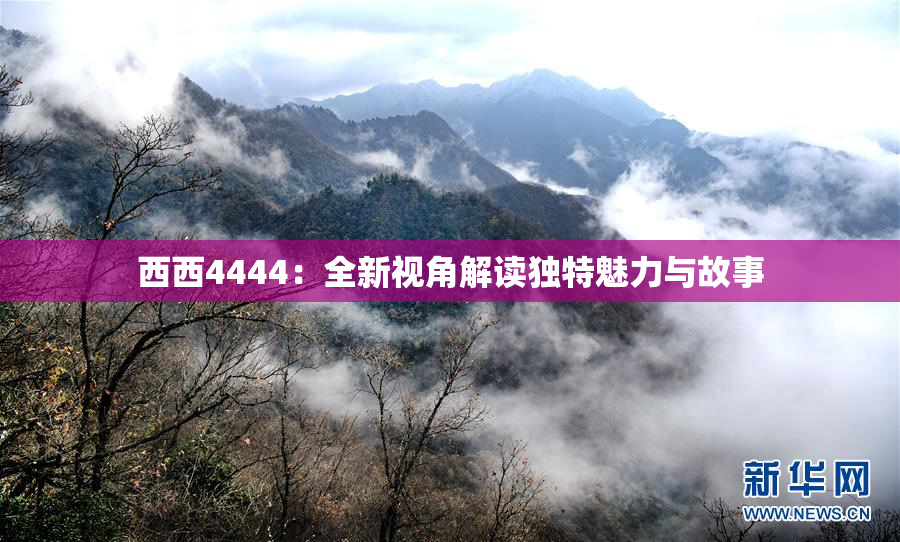西西4444：全新视角解读独特魅力与故事