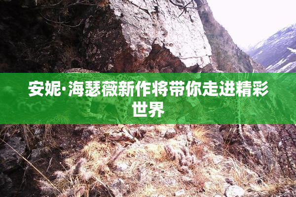 安妮·海瑟薇新作将带你走进精彩世界