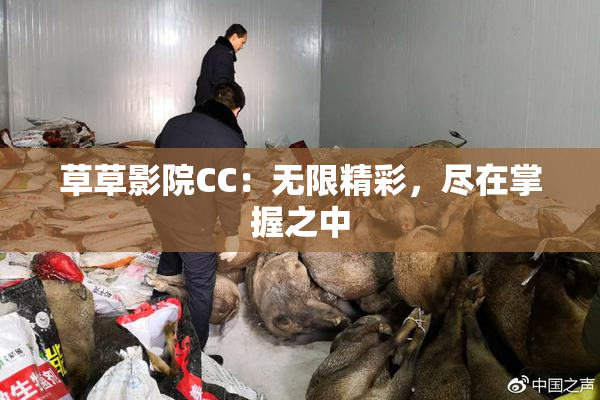 草草影院CC：无限精彩，尽在掌握之中