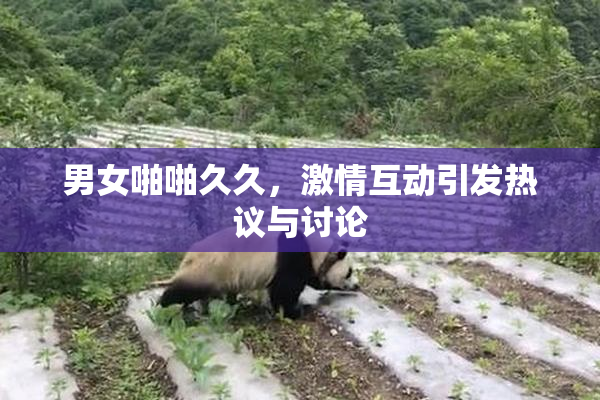 男女啪啪久久，激情互动引发热议与讨论