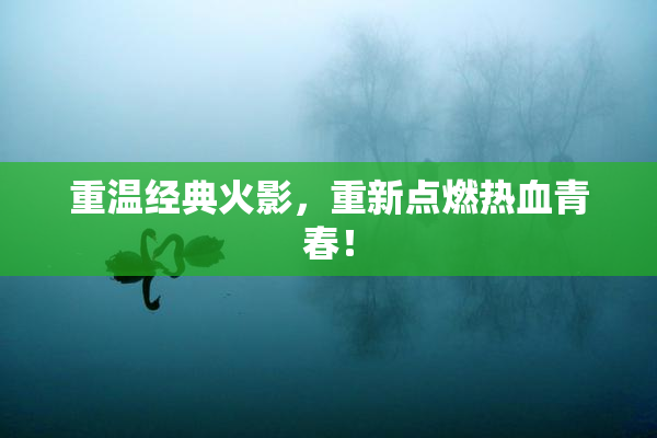 重温经典火影，重新点燃热血青春！