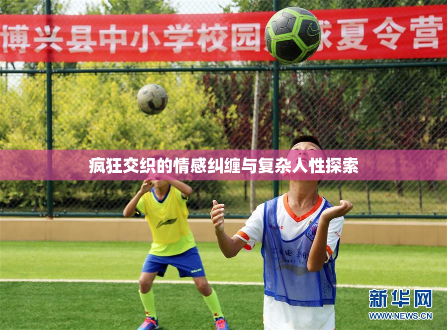 疯狂交织的情感纠缠与复杂人性探索
