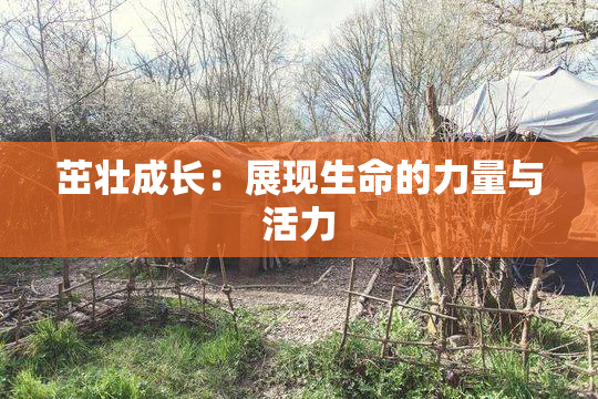 茁壮成长：展现生命的力量与活力