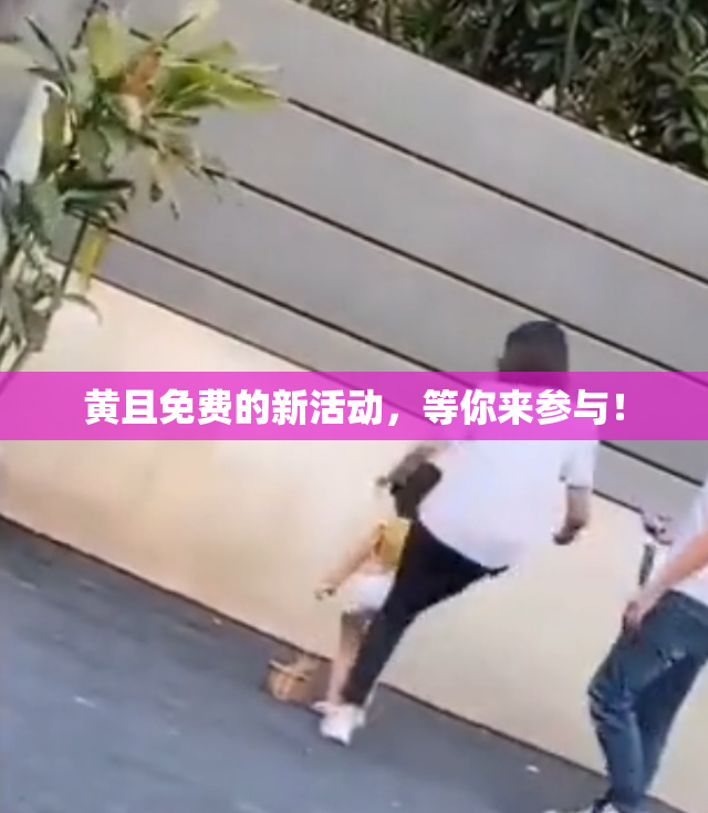 黄且免费的新活动，等你来参与！
