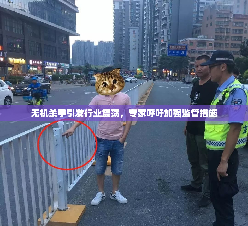 无机杀手引发行业震荡，专家呼吁加强监管措施