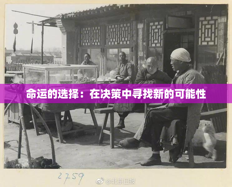 命运的选择：在决策中寻找新的可能性
