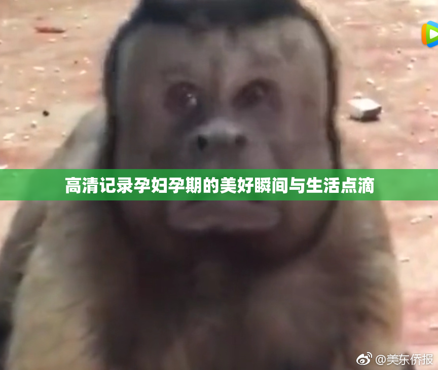高清记录孕妇孕期的美好瞬间与生活点滴