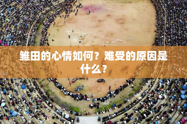 雏田的心情如何？难受的原因是什么？