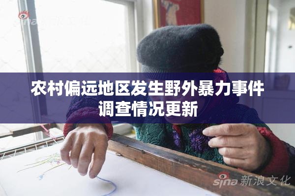 农村偏远地区发生野外暴力事件调查情况更新