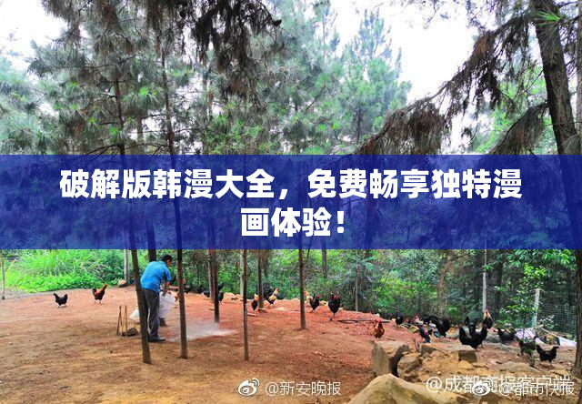 破解版韩漫大全，免费畅享独特漫画体验！