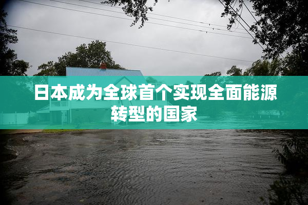 日本成为全球首个实现全面能源转型的国家