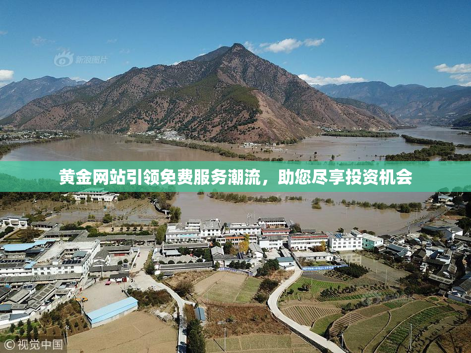 黄金网站引领免费服务潮流，助您尽享投资机会