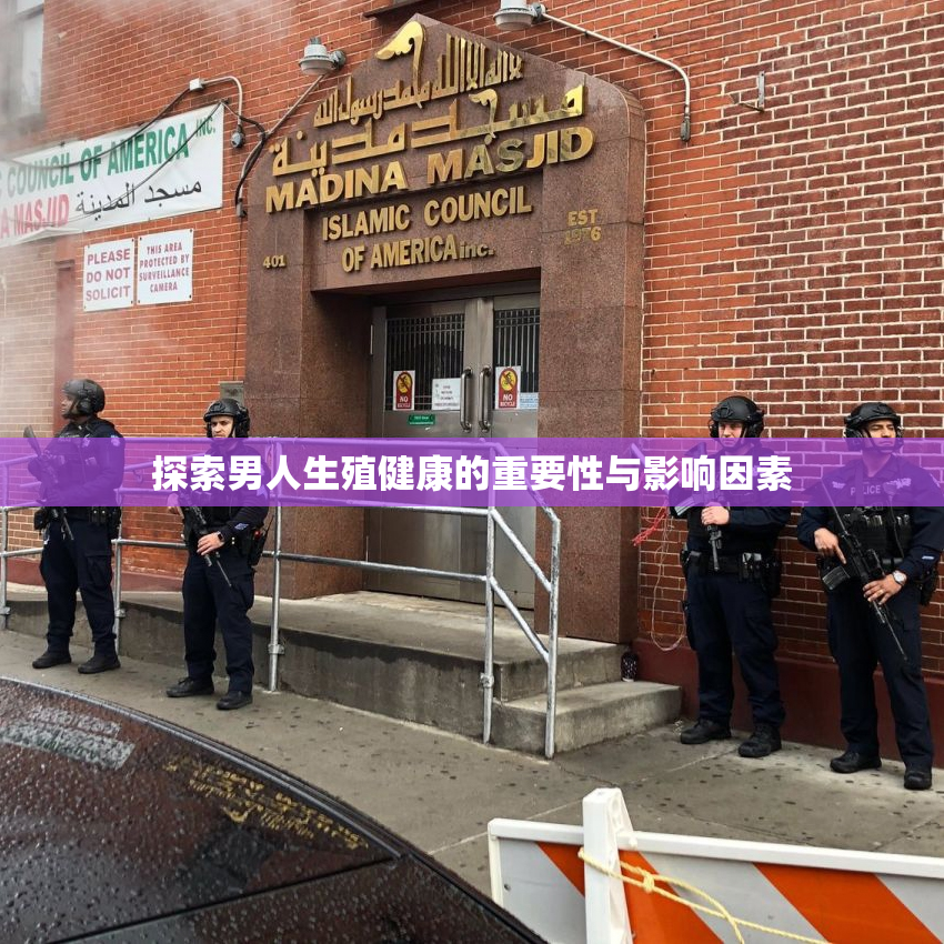 探索男人生殖健康的重要性与影响因素