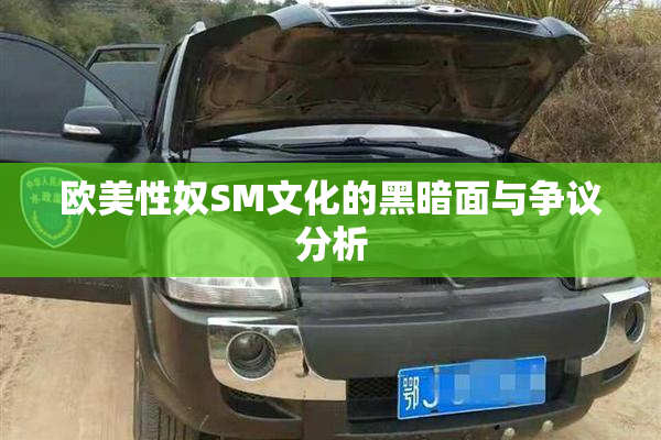 欧美性奴SM文化的黑暗面与争议分析