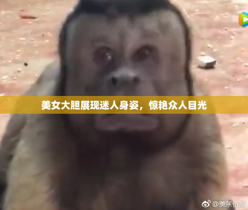 美女大胆展现迷人身姿，惊艳众人目光