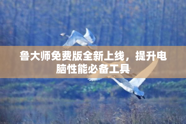 鲁大师免费版全新上线，提升电脑性能必备工具